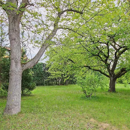 Gezellig In Müritz Appartement